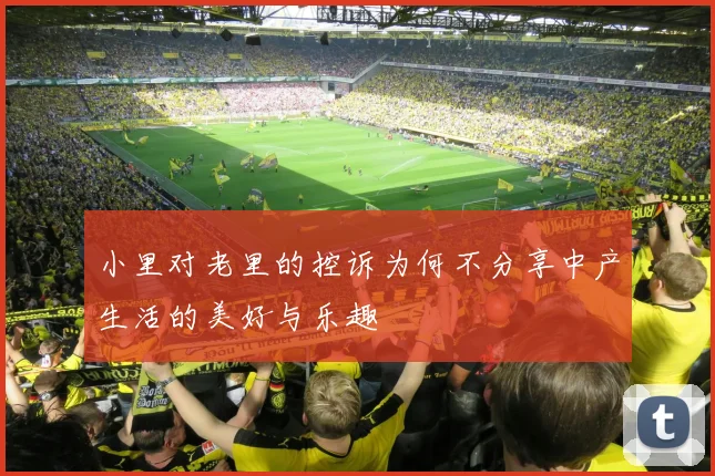 小里对老里的控诉为何不分享中产生活的美好与乐趣