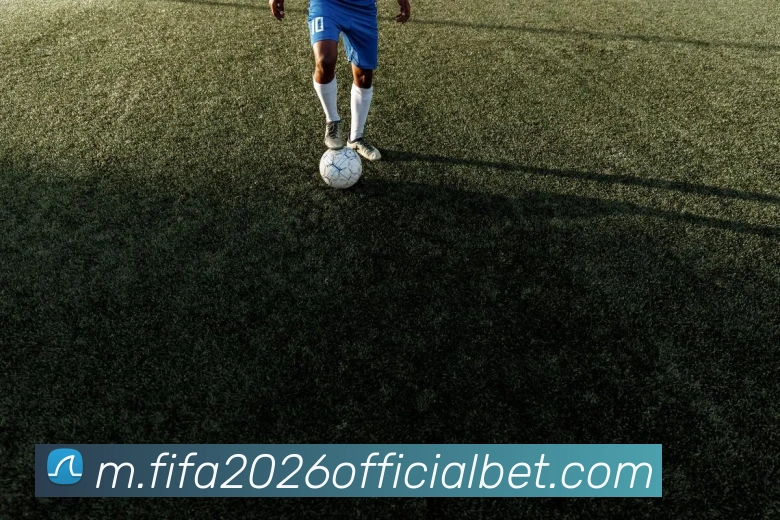 世界杯下注平台生态图